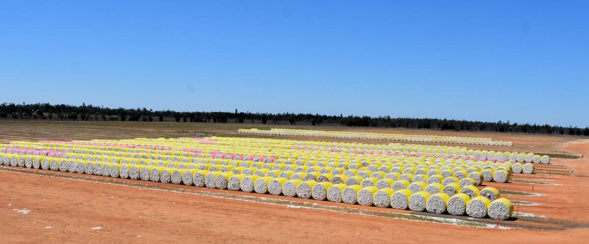 Thousands of cotton bales harvested at the end of the 2021 season fill the grounds at the Emerald ginning facility ready to be processed. Photo: Ben Harden