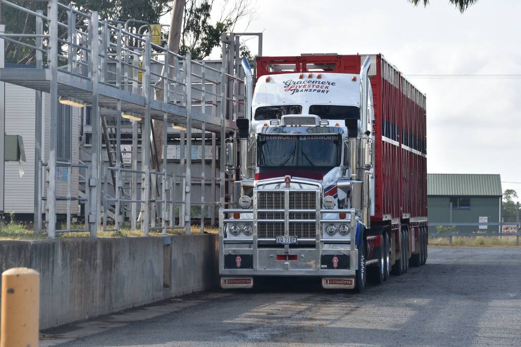 Mr Clarke pulls into the livestock loading ramps at the Gracemere saleyards. Photo: Ben Harden