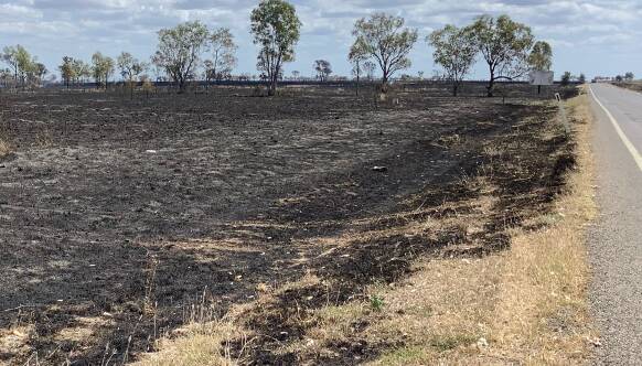 The bushfire destroyed more than 14 kilometres of Albinia National Park on Monday September 27. Photo: Qld Police 