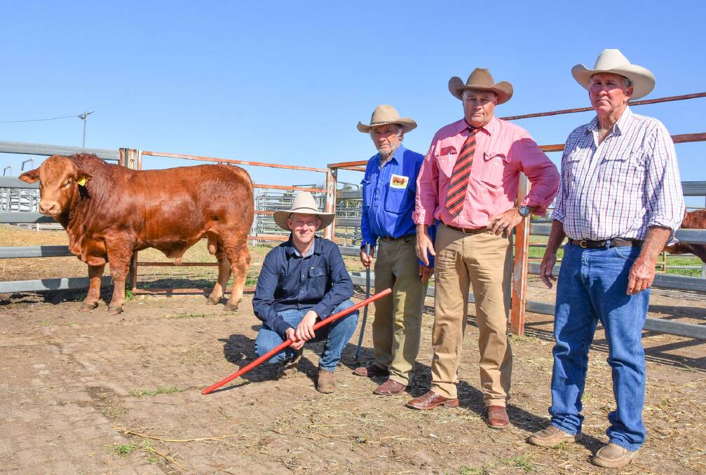 Top price bull Talana Poll Roosvelt, with vendors Gary and Anthony Graham, Talana Limousins, selling agent Randall Spann, Elders, and buyer Paddy Bussie, Gundamere Station, Nebo. Pictures by Ben Harden 