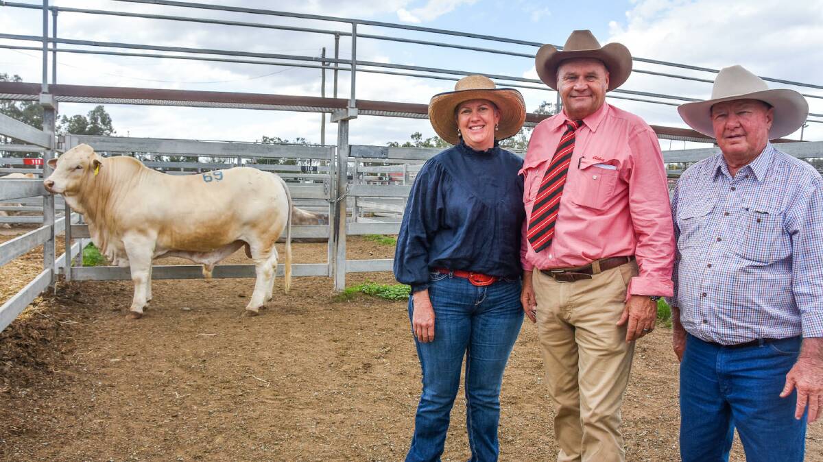 Second top price bull Cordelia 10/1, with buyer Cathy Hoare of Braylyn Charbrays, Rockview, Bluff, selling agent Randall Spann, Elders, and vendor Chas Nobbs of Cordelia Charbray Stud, 