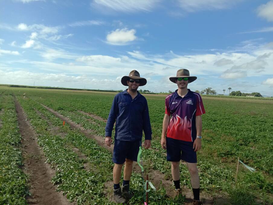 Third generation Home Hill farmer Aaron Linton is participating in the Grain and Graze North trials of dual-purpose peanut production, and is pictured with CQUniversity researcher Isaac Cardillo. Photo: Supplied 