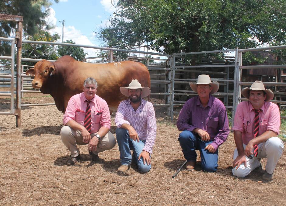 TOP BULL: Top price bull Huntly Aristocrat (P) sold for $32,500 and is pictured with Elders' Brian Wedemeyer, vendor Sam Barton, Huntly Droughtmasters, Comet, buyer Shane Perry, Strathfield Droughtmasters, Clermont and Elders' Jake Kennedy, Clermont. Picture: Ben Harden.