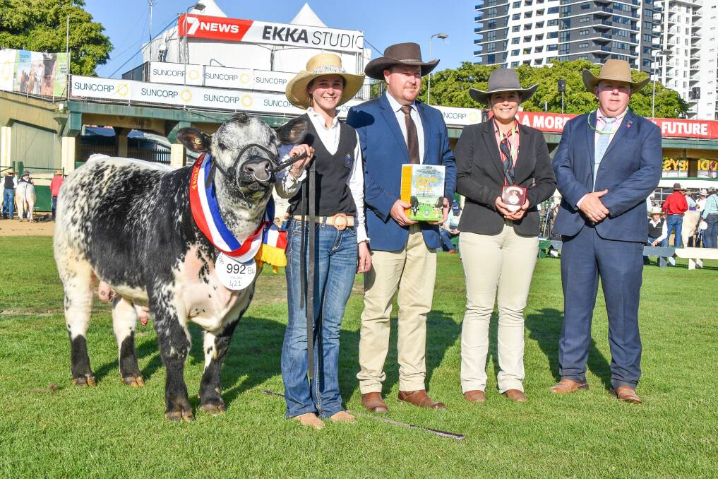 Grand champion Speckle Park bull exhibit, Celamba Unicorn, led by Emma Grey, presented by IAH representative, Chris Booby, Elder Studstocks' Eliza Connors, and judge Tom Wildling-Davies, Premier Livestock Solutions, Brisbane. Pictures by Ben Harden 