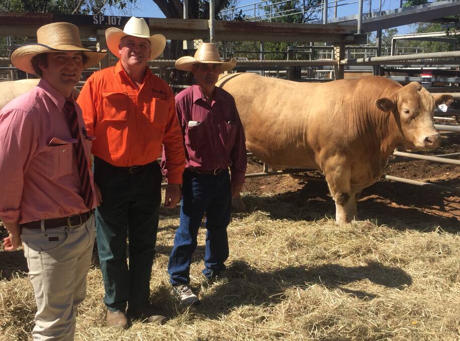 SIRE APPEAL: Glenlea Pitfire sold for $10,500, pictured with selling agent Will Stoddart, Elders, Clermont, vendor Roderick Binny, Glenlea Beef, and buyer Shane Benny, Benningang Grazing. Photo: Elders Clermont.