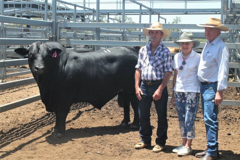 Top price bull, Earlwood 3741 (P) sold for $40,000 and is pictured with vendor Mick Madden, Earlwood Brangus, Duaringa, and buyers Anne and Ian Galloway, Duarran Brangus, Roma. 