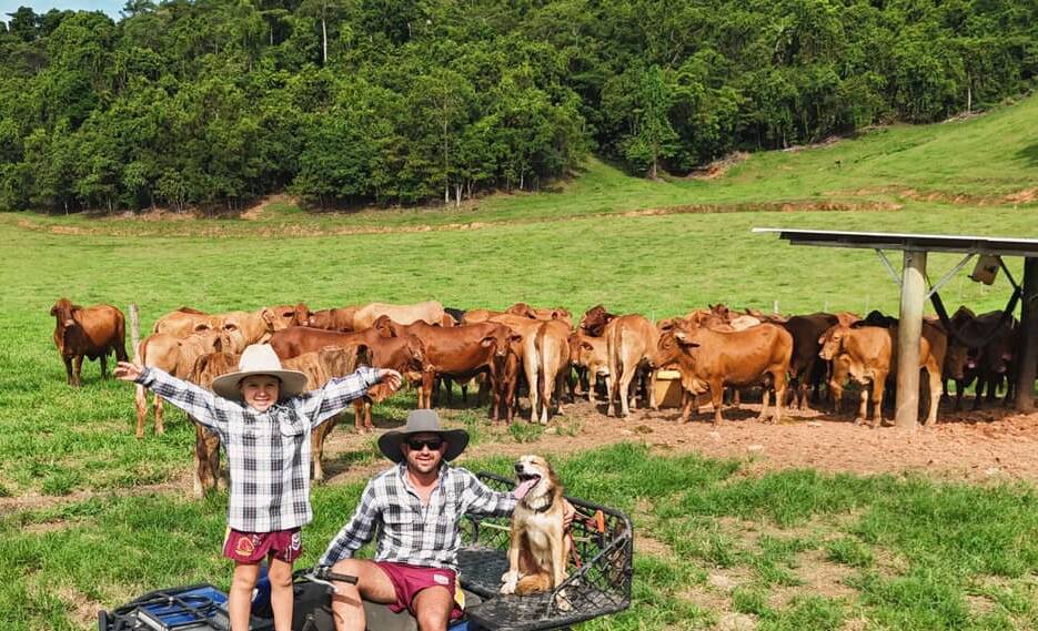 Cassowary Coast cattle producer Adrian Azzopardi alongside his son, Jacko, and their Kelpie Chase, with their Droughtmaster cattle on their property near Kurrimine. Picture supplied by Bay Hill Beef 