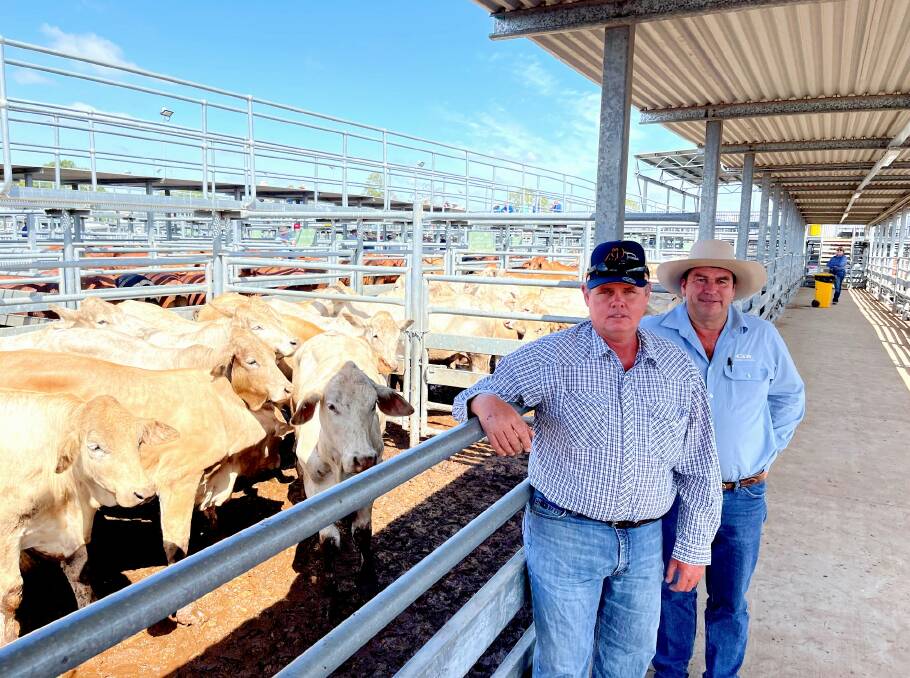 Emerald Sales: Grazier Darren Gillham, Lake Elphinstone, Nebo with GDL livestock agent Tony Dywer, Mackay, sold 93 Charbray cross Brahman feeder steers No 0s for 498c/kg or $2109 per head on Thursday. Photo: Ben Harden