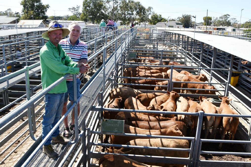 Retired Landmark selling agent Chaffey Backhouse, pictured with Andrew Schwarz, Juanita Pastoral Co, Fernlees, who sold 40 No. 0 Droughtmaster grain assist heifers for 408c/kg weighing 485kg or $1980 per head. 