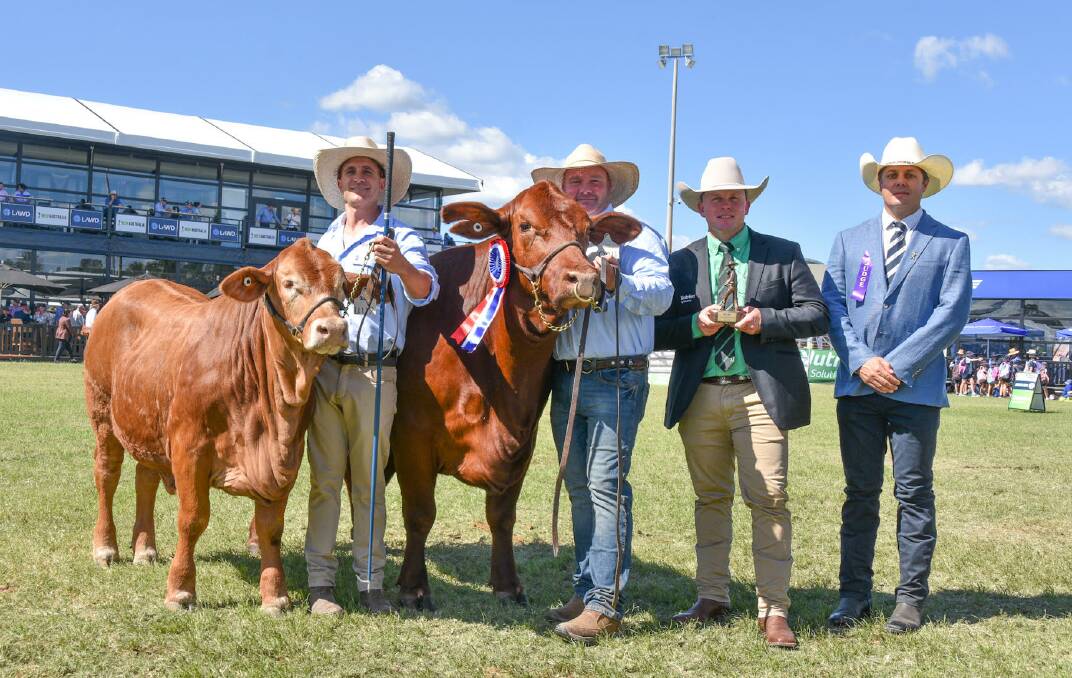 Grand champion female, Viamonte Red Bluebelle Q011 and her heifer calf, led and exhibited by Marty Lill, Chadwick Downs Cattle Co, Coonabarabran, NSW, and Facundo Grosso, Argentina, with judge PJ Budler, Global Livestock Solutions, and Nutrien Ag Solutions' Colby Ede. Picture: Ben Harden 