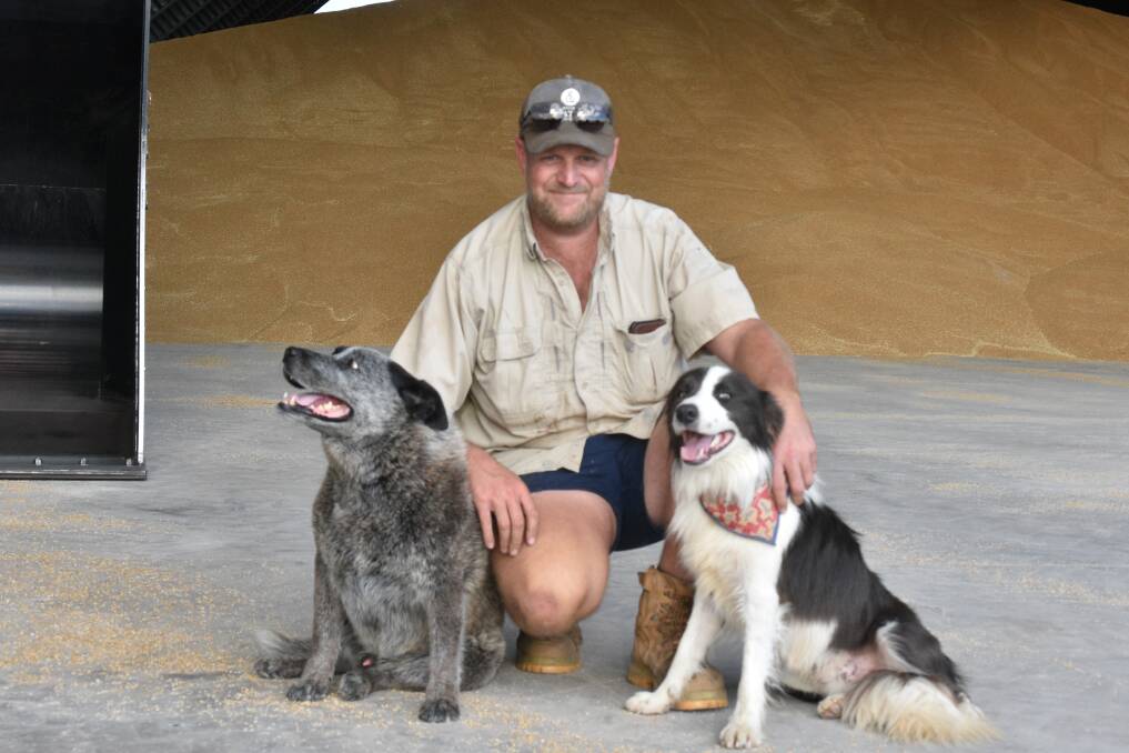 Jono Armstrong with his dogs, Bandit and Texas. Picture: Ben Harden 