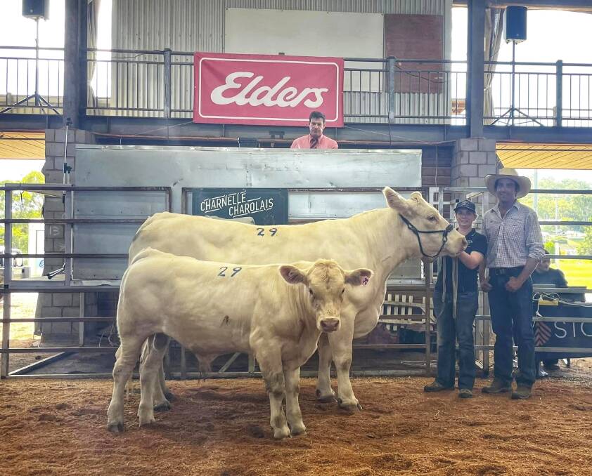 Top selling Charolais female, Sanlara Park Nadia and her bull calf at foot, with vendor Lauren Platzer, buyer Ryan Holzwart, and Elders studstock's Michael Smith. Picture supplied. 