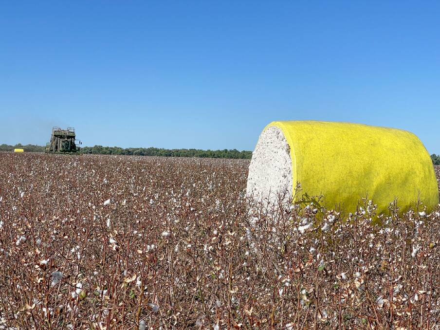 The cotton planted at Currimundi near Comet was yielding around 17 bales a hectare under irrigation. 