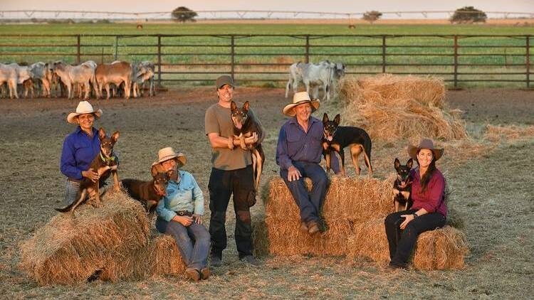 The cast (and dogs) of Australia's much loved documentary mini-series Muster Dogs season one. Picture: Ambience Entertainment
