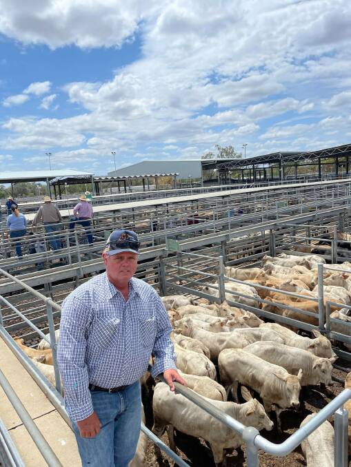 Darren Gillham, Lake Elphinstone, Nebo with a pen of his Brahman cross Charbray weaner heifers, which weighed 348kg and sold for 528c/kg to return $1839 per head.