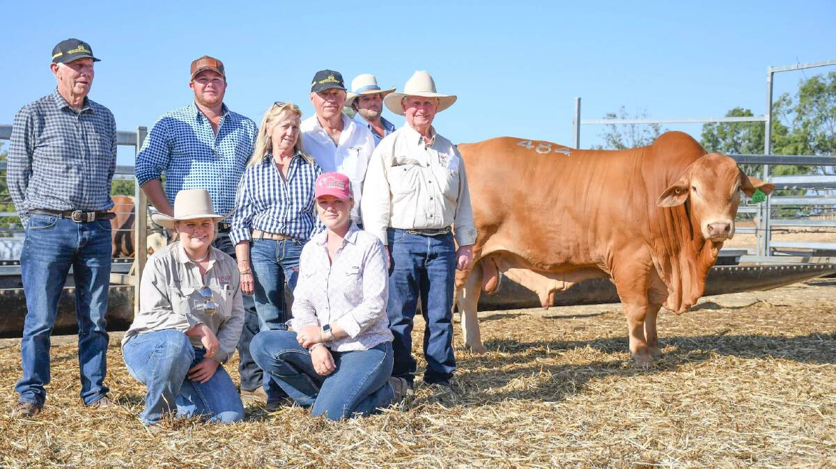 Rondel Black Tuxedo with buyers Kim Goad, Ben and Olivia Wright, Sue and Mike Thompson, Munda Reds, John Atkinson and Tayla Chapman, Cap Droughtmasters, and vendors Peter and Luke Carrington, Rondel Droughtmasters. 