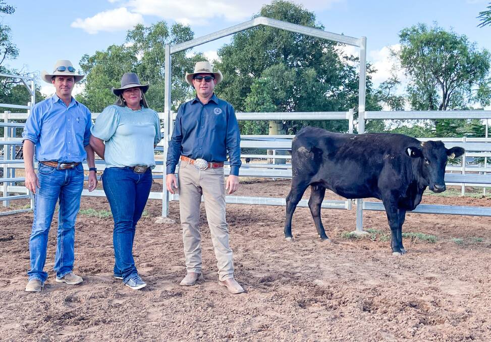 Sean and Sarah Dillon of Surbiton Station, Alpha, and Que Hornery, Bar H Grazing, River Lea, Comet, with top $20,000 selling PTIC cow BARFP2294. Photos: Ben Harden 