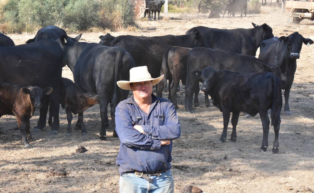 Moura region grazier Mark isn't sure how the proposed biosecurity levy would benefit "grassroots producers". Picture: Ben Harden