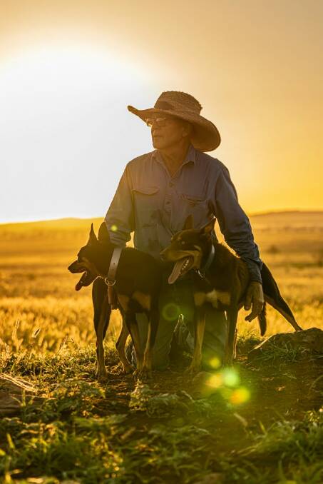 Frank Finger alongside his working Kelpie dogs at his cattle property Hillview, Clermont. Photo: Melissa Spencer 