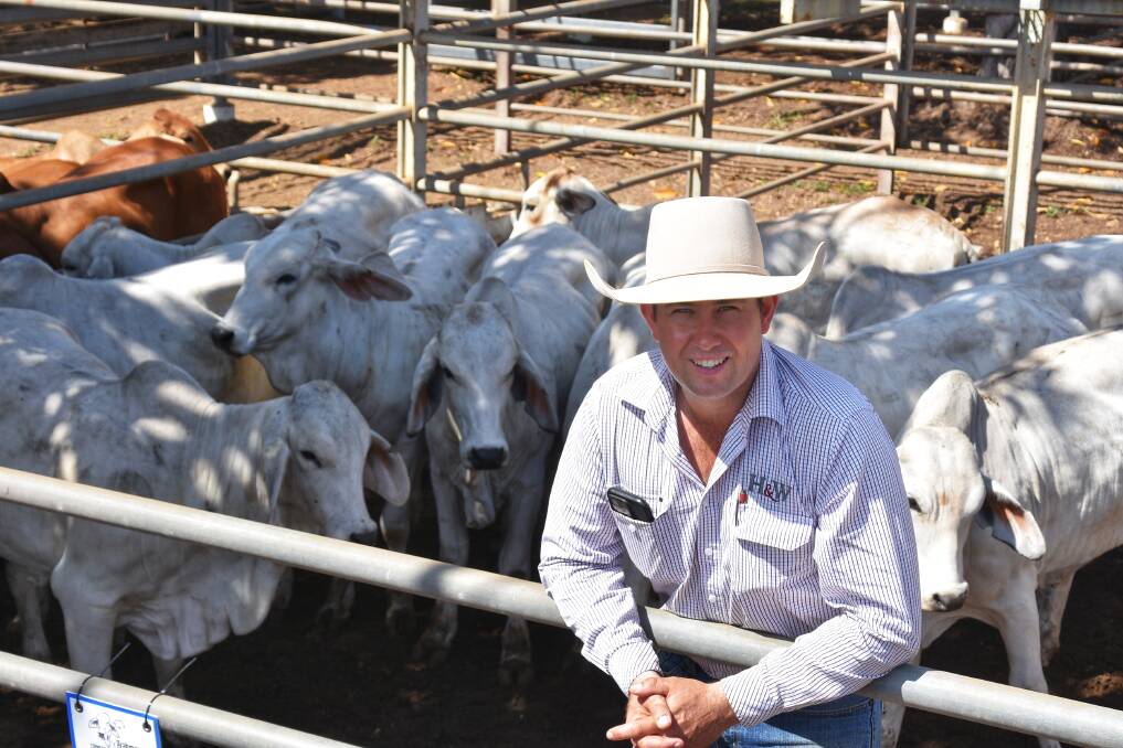 Hoch and Wilkinson livestock agent Jake Passfield, with a run of 12 yearling grey heifers, offered by Rob and Una Oates, Mt Brett Comet, and purchased by Damien Parker, Eastmere, Aramac, for $1560/hd. Picture: Ben Harden 