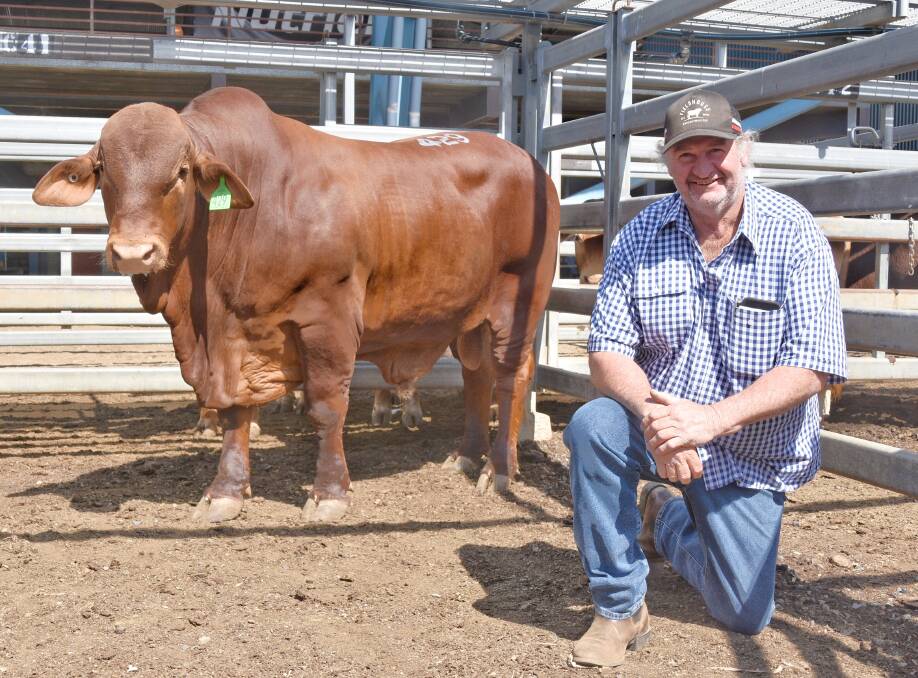 The $45,000 Locarno Rubic with buyer Ken Mutton, who travelled all the way from Western Australia to secure him. Picture: Ben Harden 