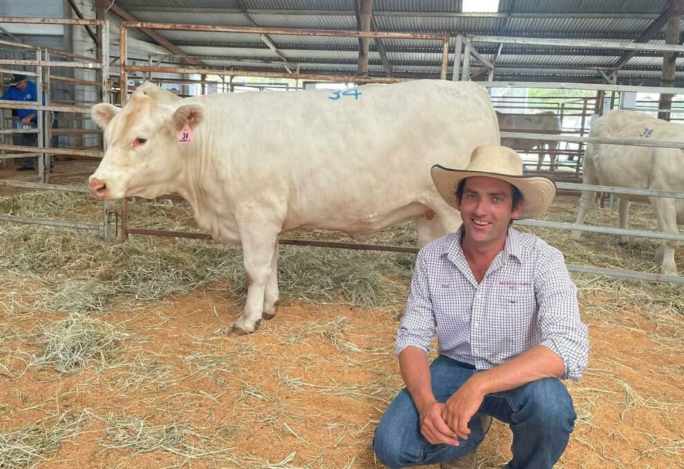 Vendor Ryan Holzwart of Bauhinia Park Charolais, Kensington, Emerald, with the top selling joined heifer, Bauhinia Park Sandra 27, which sold online via StockLive to Lachlan Dickson, Chelbrook Charolais, Biloela, for $11,000. Picture supplied 