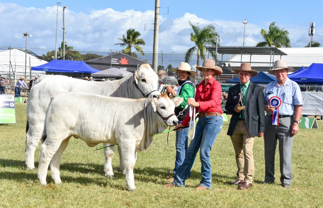 Grand champion female, RBG Sweetpea and her heifer, led by Anna and her niece Holly Ahern, Romagnola Beef Genetics, Roma, with Nutrien Ag Solution's Mark Scown, and past Romagnola breed society president, Dick Jeremy, Arkay stud, Miles. Picture: Ben Harden 
