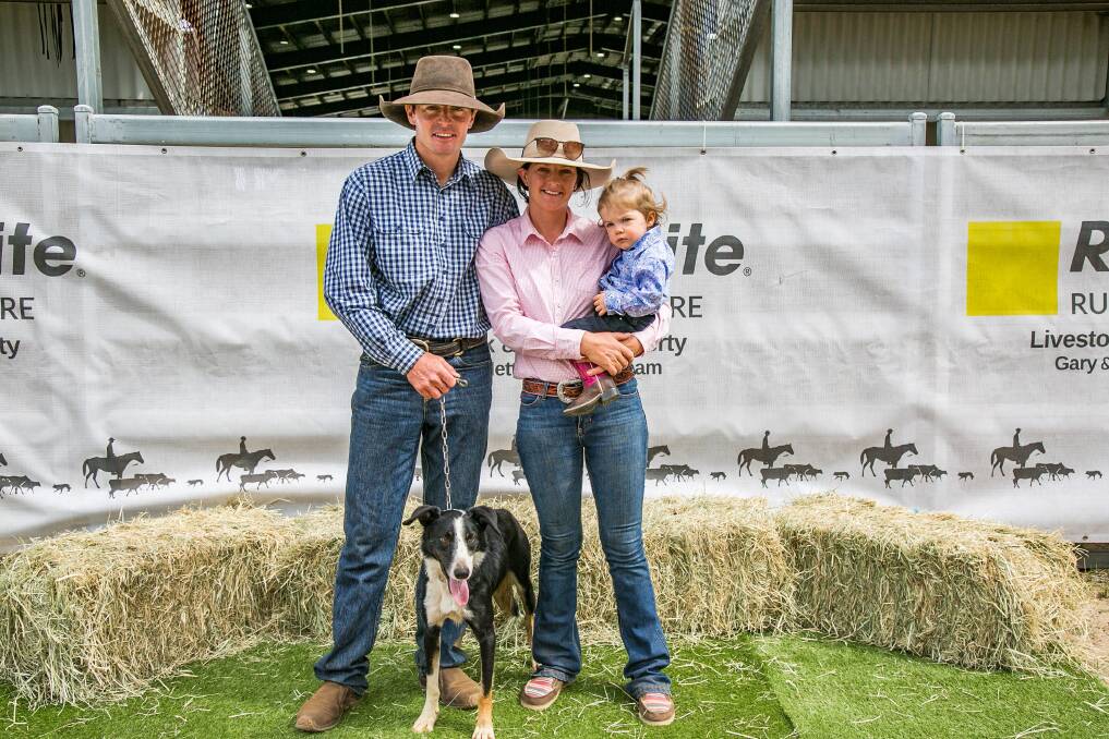 Second top price dog, S1E Hugo, made $26,000, and is with vendor Sam Osborne, Dulacca. Picture by Jodie Humble 