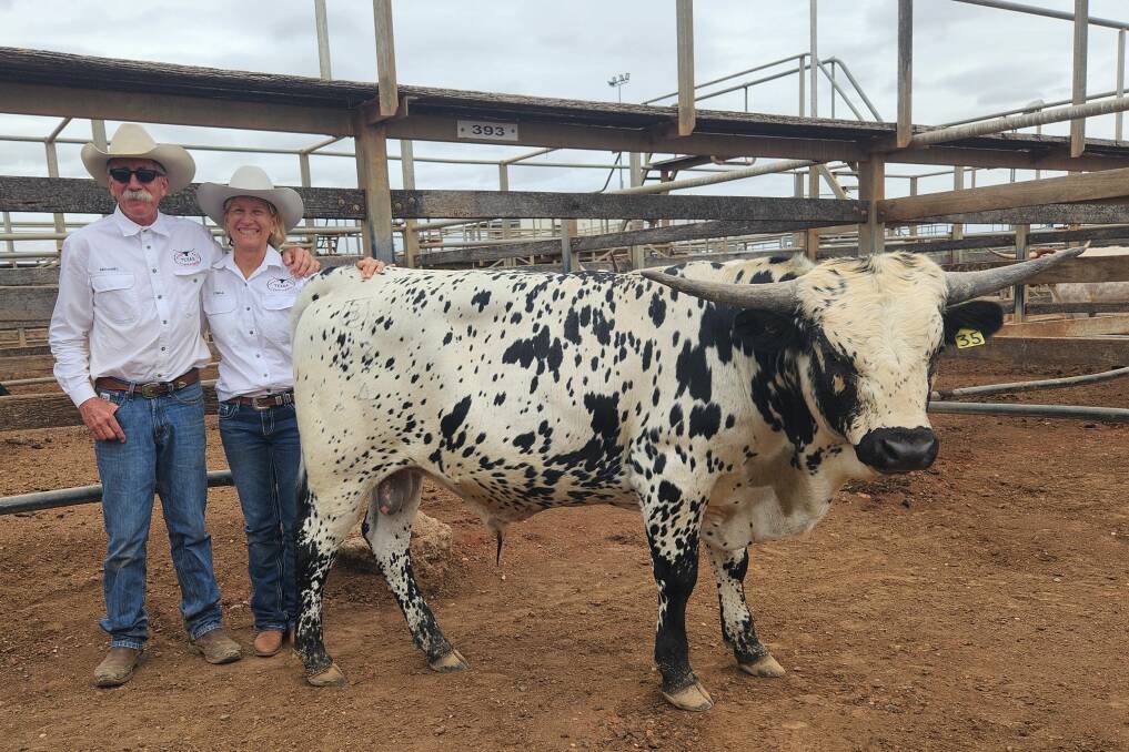 Michael and Lynda Bethel, Horseshoe B Longhorns, with their top price bull, HBL Spoken Joe. Picture: Supplied 
