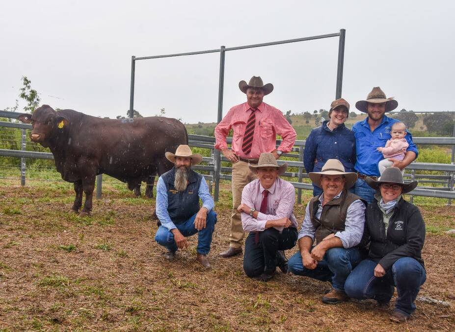 Top price bull Cree Nacho S128 (PP), with Cree Santas stud principal Shaun McGuigan, Randell Spann, Elders Studstock, Andrew Cavanagh, KellCo Livestock, and first-time buyers Bruce and Jo Russell, Grassbrook, Carrie Russell, John Noble and Marney, 4mths, , New South Wales. Picture by Ben Harden 