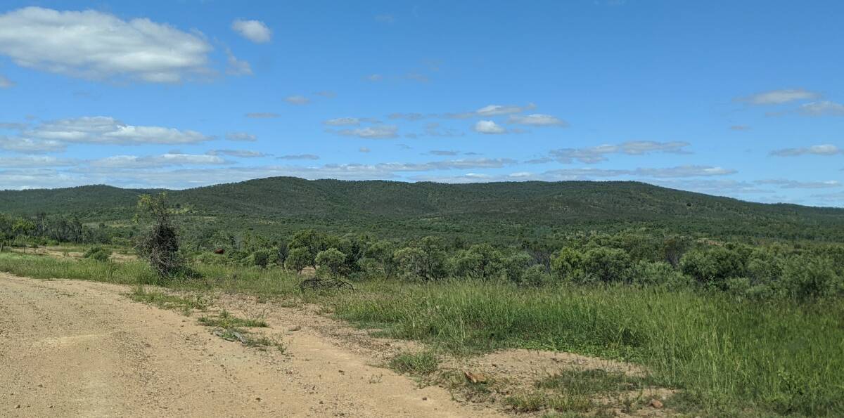 WIND FARM SITE: The project site involves a number of properties currently utilised for grazing and primarily consisting of a mixture of historically cleared land for agricultural purposes and remnant eucalypt woodland. Picture: Epuron 