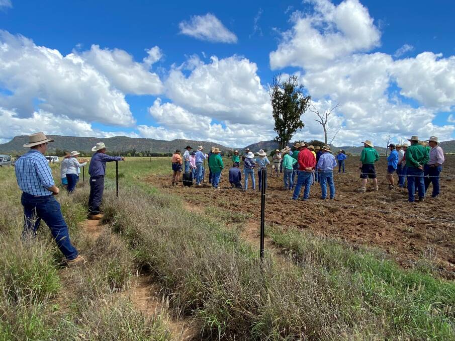 More than 50 central Queensland producers attended the Prices property at Hillyview in Injune back in March. Picture: Stuart Buck 