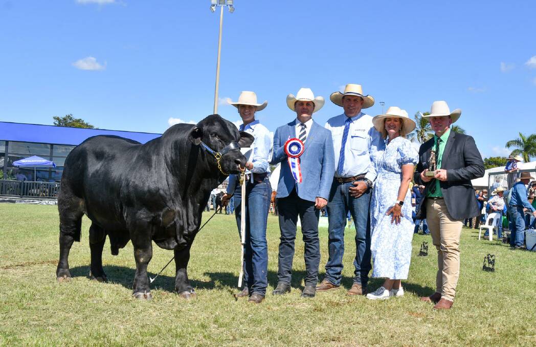 Grand champion bull, Bullakeana Who's Handsome, led by Bella Hanson, and exhibited by Brad and Vicki Hanson of Hanson Cattle Co, Theodore, with judge PJ Budler, Global Livestock Solutions, and Nutrien Ag Solutions' Colby Ede. Picture: Ben Harden 