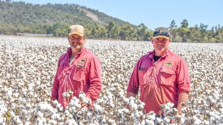 Redbend Farming's Terry Tranter and Nick Reynolds at Mandalee Station, Innot Hot Springs, Atherton Tablelands. Pictures: Ben Harden 