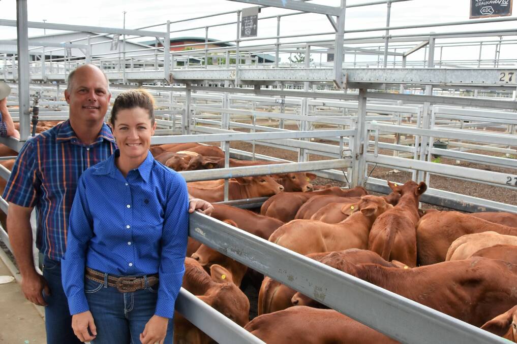 Allan and Abbey Lucas of Lucas Cattle Company, Morinish, sold a line of 74 Droughtmaster steers, which averaged 303kg and sold for 722.2c/kg to return $2191/head. Picture: Ben Harden