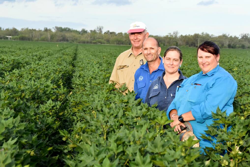OPPORTUNITY: Comet district cotton grower Neek Morawitz, DAF research scientist Paul Grundy, CRDC's Susan Maas, and Gail Spargo, DAF, Emerald at the trial plot. Pictures: Ben Harden