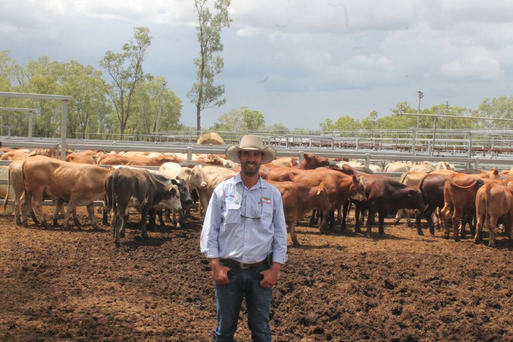 CDBCC president Beau Surawski said the Moura saleyards have always been a popular social outing for many local producers and school children. Picture: Ben Harden