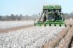 Applicants chosen for cotton industry's 2022 emerging leaders program