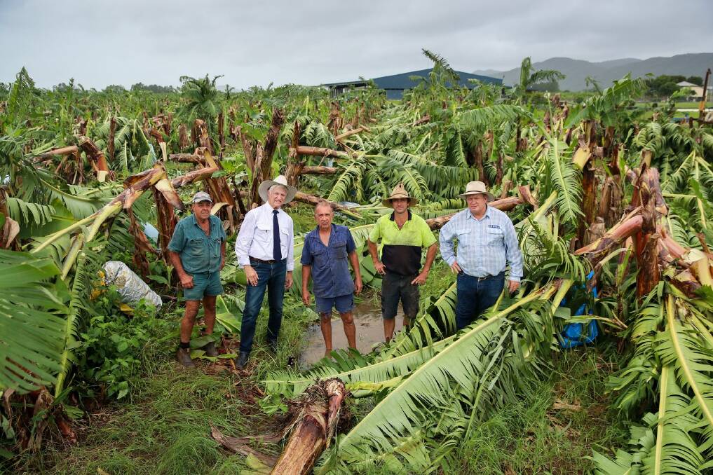 Surveying the Devastation: Federal member for Kennedy Bob Katter and State member for Hill Shane Knuth visited Boogan Banana farmers Angelo Russo and Frank Sciacca on Tuesday, alongside Cassowary Coast Banana Growers Association President Dean Sinton. Picture: Michael Chambers