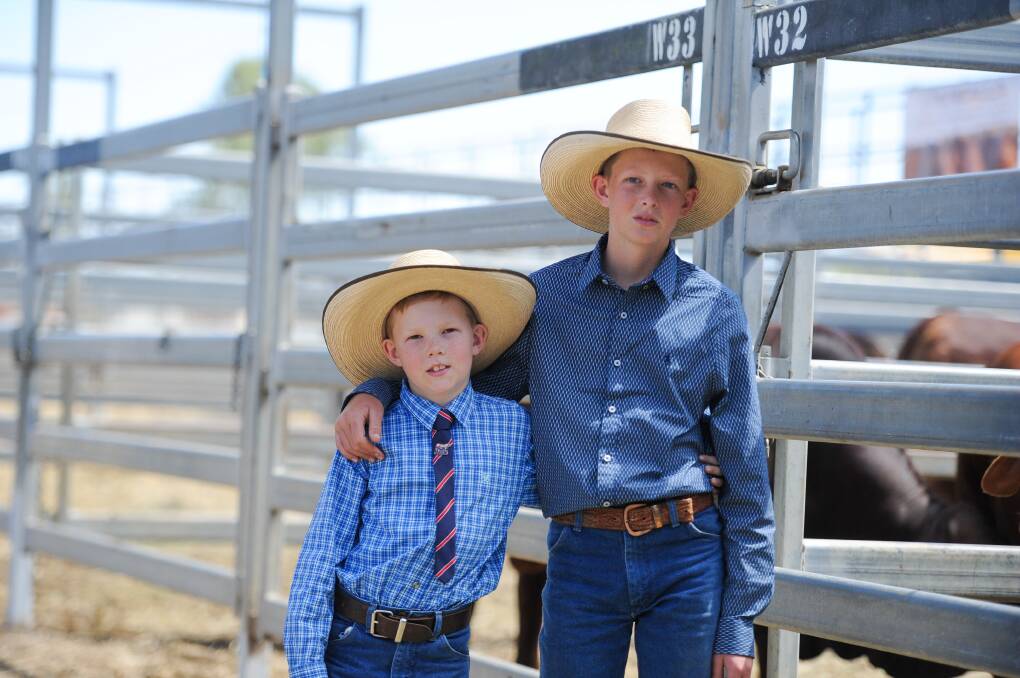Thomas, 9, and Riley Orphant, 13, at the recent Droughtmaster National Sale at Gracemere. 