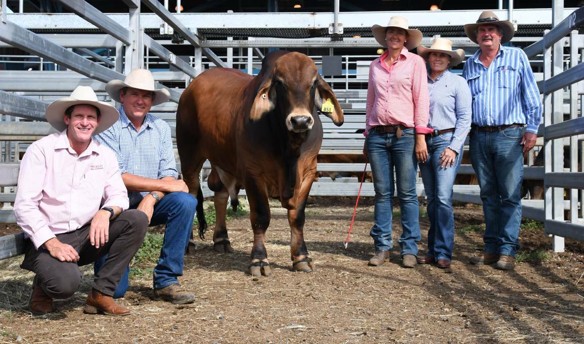 Fairy Springs Capitalist with vendors Joe and Felicity Streeter, Fairy Springs Brahmans, Taroom, and buyers Ashley Kirk, Rockley Brahman stud, Moura, and Leonie and Allan Trail, Elmo Brahman stud, Baralaba. Picture by Clare Adcock
