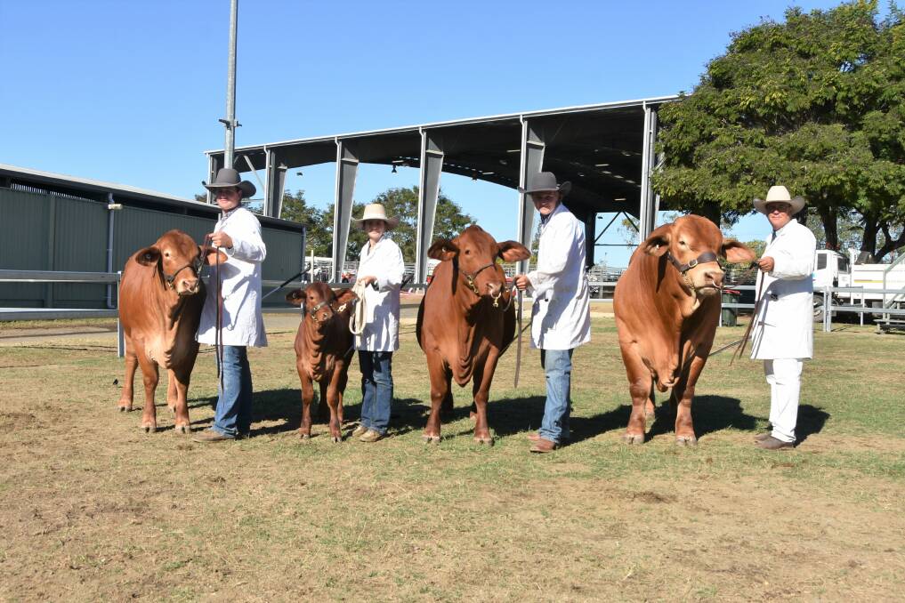 The supreme breeders group consisted of a bull, heifer, female and calf, exhibited by Jason Childs and family, Glenlands, Alkira, Dingo. 