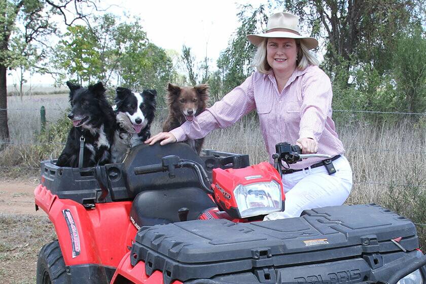 LNP local government spokeswoman and Warrego MP Ann Leahy said the resignation of Rockhampton's Mayor Margaret Strelow shows why the first job of the new government must be to overturn their runner-up laws.
