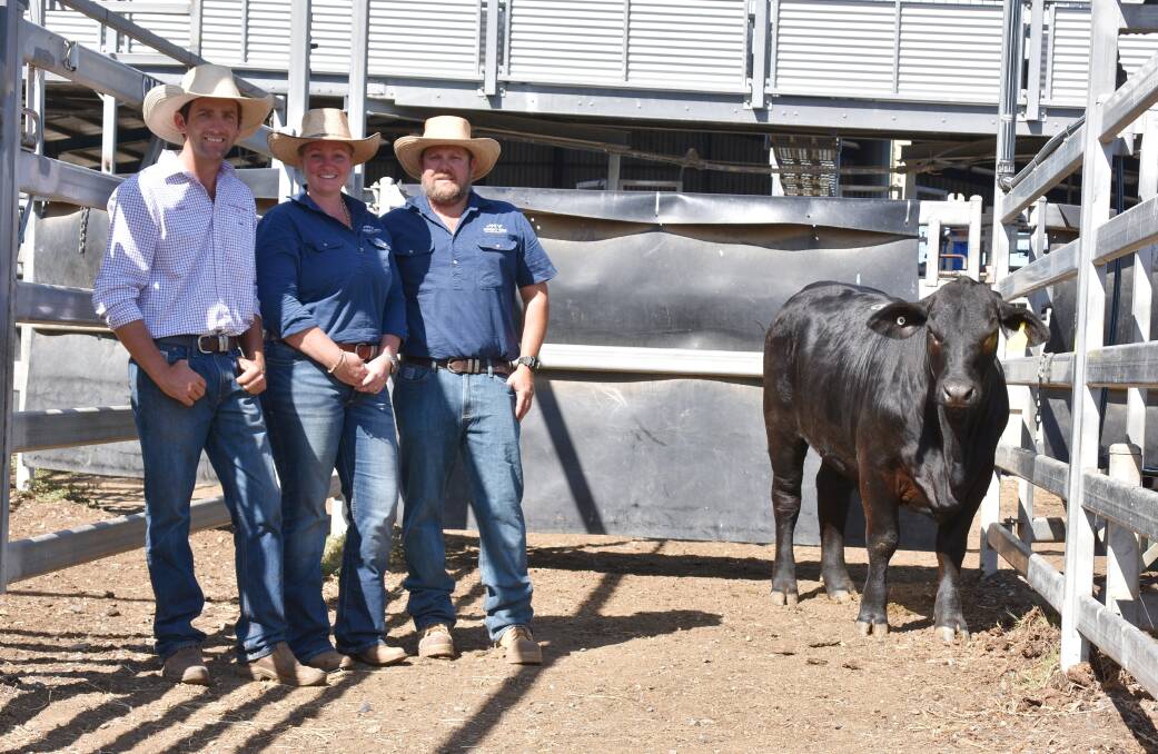 Sale top price female, Murray View Miss Sage 236S15, with buyer Ryan Holzwart, Bauhinia Park Brangus, Emerald, and vendor Heidi and David Campbell, Murray View Brangus, Mount Ossa. Picture: Ben Harden 