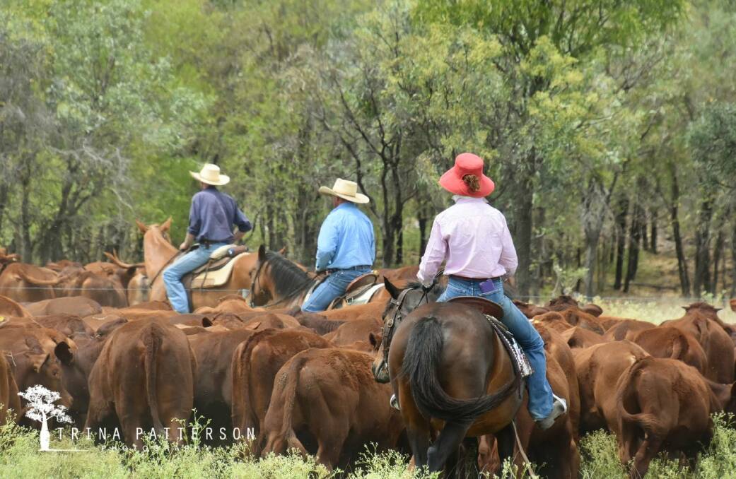 Evan, Tim and Alenna Patterson mustering the weaners. Picture by Trina Patterson Photography