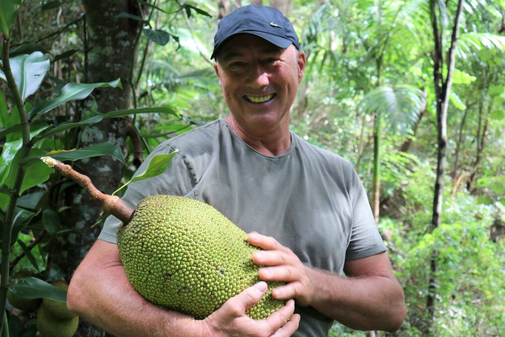 Mooball fruit grower Peter Brils. 