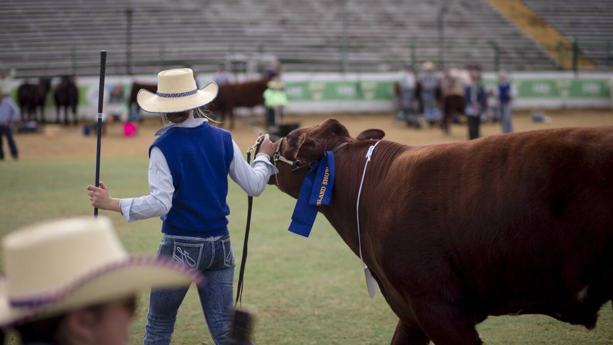 The recent Show Societies Grants Program funding boost will provide financial support for operating costs associated with conducting annual agricultural shows. Picture: Kelly Butterworth 