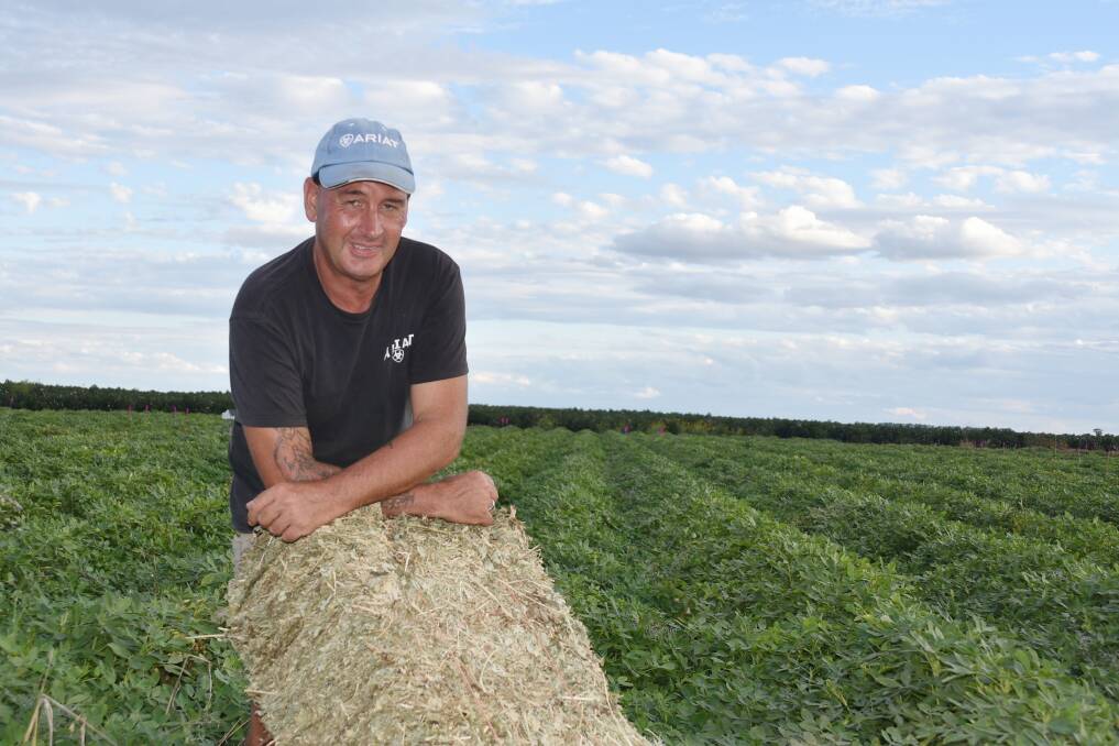 CQUniversity researcher Dr Drew Portman holding a peanut hay bale, which has been cut and baled at Emerald. Picture: Ben Harden 