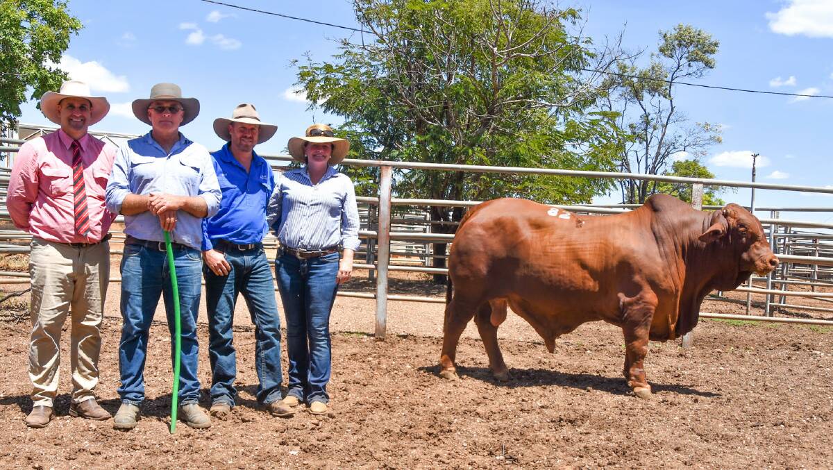 Elder's Anthony Ball, vendor Noel Geddes, Oasis Droughtmasters, Emerald, with buyers Matt and Rebecca Brooks, Major Drouhtmasters, Wivenhoe Pocket, and equal $26,000 top price bull Oasis Domino (P). Photos: Ben Harden 