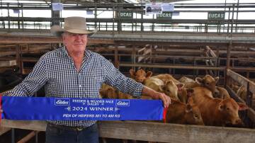 Miles Patterson, Lyndley, Jandowae, with his winning pen of Charolais heifers that made 326c/kg for 339 kilograms. Picture: Ben Harden 